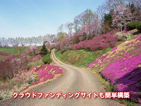 荒れ果てた道を花で埋め尽くしたい！